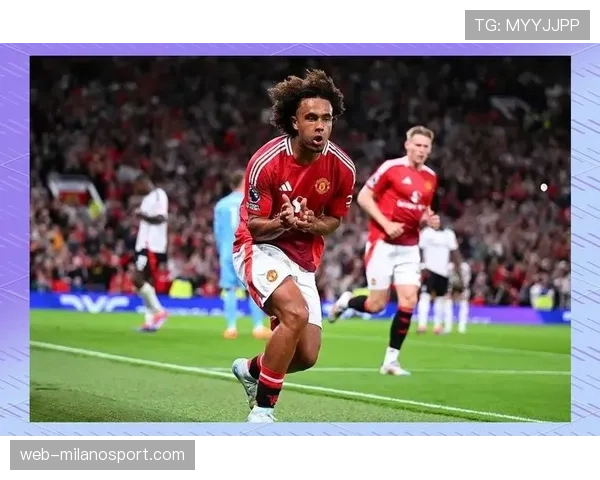 战术特写：看齐尔克泽如何作为博洛尼亚进攻体系枢纽串联全队